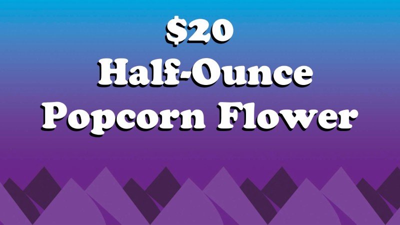 Popcorn Flower-1