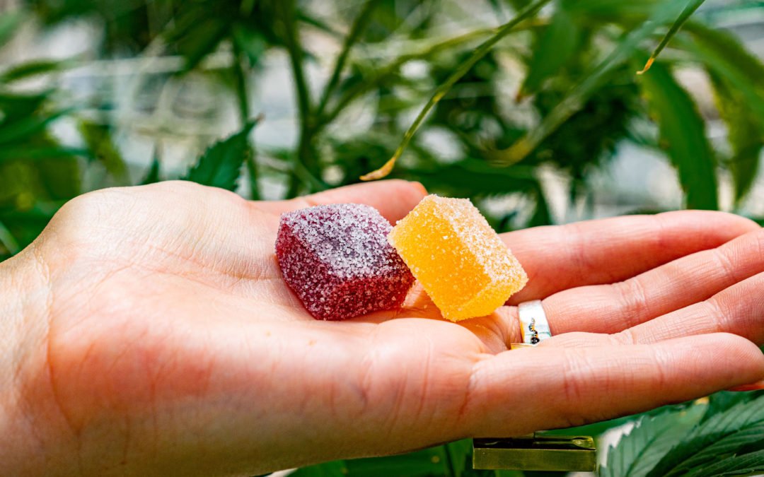 cannabis edible gummies