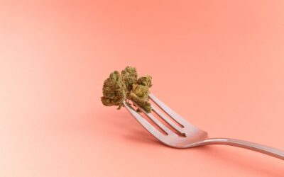 Cooking with Cannabis: Tips for Making Great Edibles
